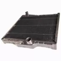 金御指 发动机散热器水箱总成13A07B-001 适用于东风EQ2102N运输车