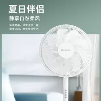 美菱电风扇 MPF-LC600 1