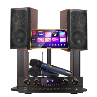 山水(SANSUI) SQ08家庭影院ktv音响组合功放套装家用电视卡拉OK点歌唱歌机双系统一体机.