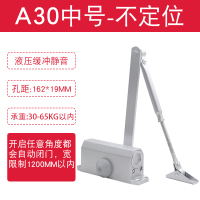 京工京采 闭门器 中号 A30 不定位 孔距162*19mm (单位:个)