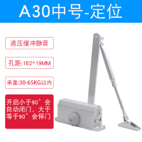 京工京采 闭门器 中号 A30 定位 孔距162*19mm (单位:个)