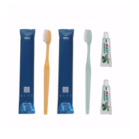 一次性牙刷牙膏 牙刷: L180/牙膏: 50