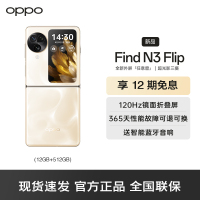 OPPO Find N3 Flip 月光缪斯 12GB+512GB 5G数字移动电话机 全网通5G手机