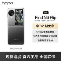 OPPO Find N3 Flip 镜中之夜 12GB+512GB 5G数字移动电话机 全网通5G手机