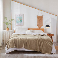 花花公子貂狐绒毯-素咖HDHT11