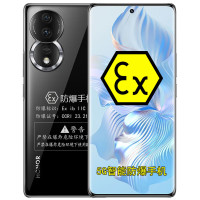 荣耀80 防爆手机 1.6亿像素超清主摄 5G智能EX本安防爆 石油化工厂专用 防爆定制版(带防爆证)12GB+256G