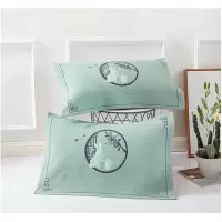 班裕 全棉枕套50*70CM/个 3层 玉兔绿