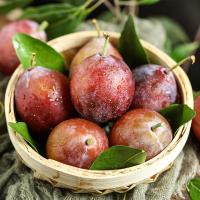 [西沛生鲜]山西高山西梅 净重4.5斤装 大果 单果150-200g 当季时令水果整箱 酸甜可口