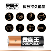 金霸王(Duracell) 7号电池 10节/组
