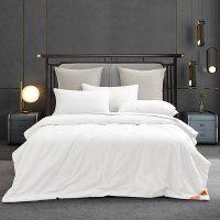 洁丽雅舒适蚕丝被-恬馨JLYCS002