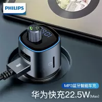 飞利浦 DLP4107G/93 车载充电器(单位:个) (H)