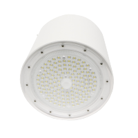 领航电器(LHDQ) LHF2923G LED筒灯( 明装) 50W 冷光 220V IP65