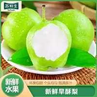 [苏鲜生]新鲜早酥梨 净重8.5斤装 新鲜当季水果梨应季水果