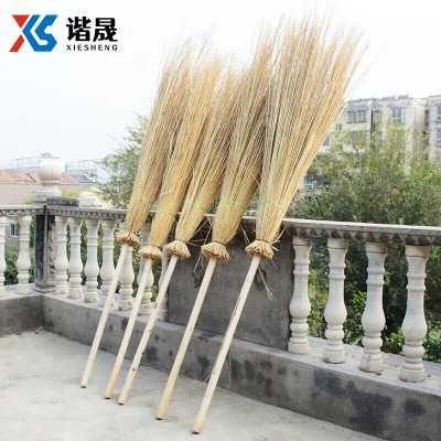 谐晟 芨芨草大扫把环卫大笤帚扫帚 1把