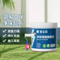 嘉宝莉补墙漆白色修补墙面翻新漆内墙去污遮盖净味速效内墙乳胶漆1kg
