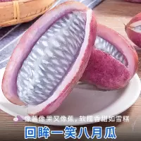 [西沛生鲜]八月瓜新鲜水果八月炸 净重2斤 特大果 单果200g以上 当季现摘香瓜罕见野香蕉甜瓜