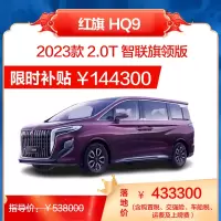 红旗 HQ9 2023款 2.0T 智联旗领版 商务MPV 燃油汽车 新车整车