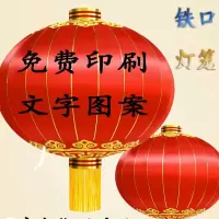 大红灯笼户外防水阳台装饰灯笼印字广告灯笼新年元旦节庆装饰灯笼150#铁(直径100CM)10个起发