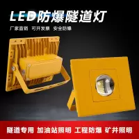 LED防爆灯隧道灯低压24V户外台车 隧道 工矿 建筑工地 防水铝投光灯 50W白光