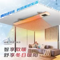 GF 智能石墨烯远红外取暖器 石墨烯节能变频款 APP控制+恒温功能2500W(10-22㎡)SY-FS25JD