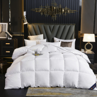 保罗大卫(PAUI DAVID) 鹅羽润肤被 鹅羽润肤被 200*230cm
