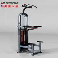 单双杠及提腿腹肌复合训练器