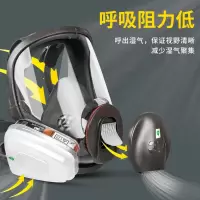 3M 防毒全面具 6800 /个