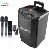 万利达(Malata)M+9017C户外音箱12英寸 单位:台
