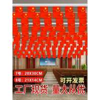 红旗串旗五星红旗装饰吊旗串旗彩旗国庆装饰品办公室街道小红旗手摇旗 7号dang旗串20*30cm[18米50面]