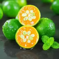 [西沛剩下]海南小金桔新鲜水果 净重8.5斤 青金桔柠檬 小青柑奶茶搭档橘子整箱
