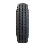 东风 EQ1118汽车轮胎9.00R20