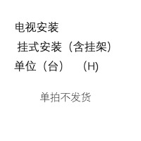 海信 电视安装 挂式安装(含挂架)单位(台) (H)