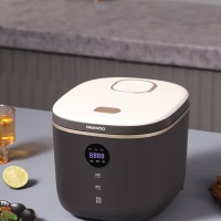 大宇智能电饭煲(幻影灰)DYFB-503L