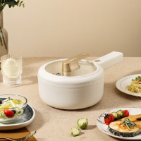 大宇电煮锅/DYZG-1570