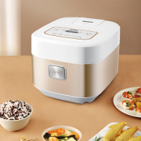 智能低糖电饭煲BP-DFB40X5