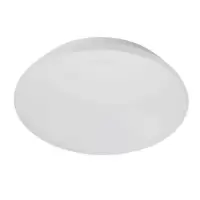 (C) 吸顶灯 12W 5700K(不含安装)