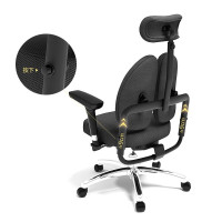 囍诺 普格瑞司电脑椅老板椅人体工学椅健康舒适办公转椅家用双背椅PH-40BH