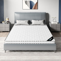 域赢椰棕床垫宿舍学生单人床垫上下铺公寓寝室学校棕榈垫(2000*1500*50)