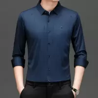 长袖衬衫男2023秋款韩版休闲潮流中青年纯色休闲衬衣薄款免烫