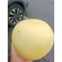 9111003蜜柚,单果750克起,当季鲜果,袋装发货