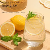 清凉饮品 福东海 冻干柠檬片100g(独立包装)