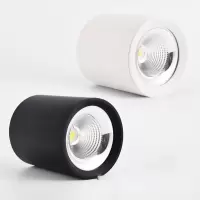 生迪(Sengled)明装筒射灯 L4