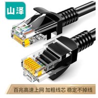 山泽(SAMZHE)超五类网线 CAT5e类高速百兆网线 1米 工程/宽带电脑家用连接跳线 成品网线 黑色 SH-1010
