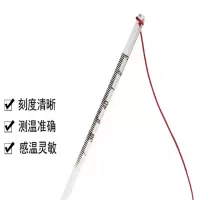 盛束 体温计 尾部栓绳.