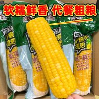 东北甜糯玉米棒代餐杂粮真空包装黏粘玉米
