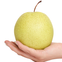 河北特产雪花梨5斤装