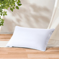 水星家纺 春夜抗菌枕74*48cm