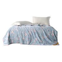 红秀世纺-蝶恋花水洗蚕丝被150×200(cm) SF2303-T010