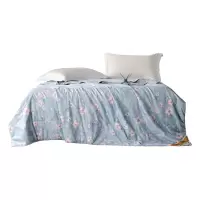 红秀世纺-蝶恋花水洗蚕丝被150×200(cm) SF2303-T010