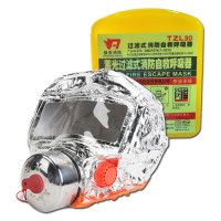 焕安 TZL30 逃生面具 消防面具 过滤式自救呼吸器 夜光款